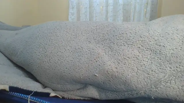 ndivhuwomuleya webcam