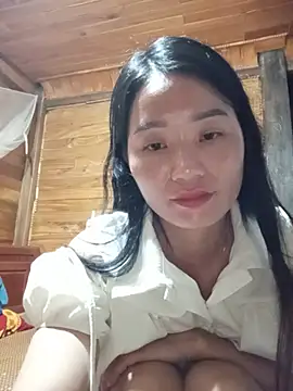 Td3di webcam