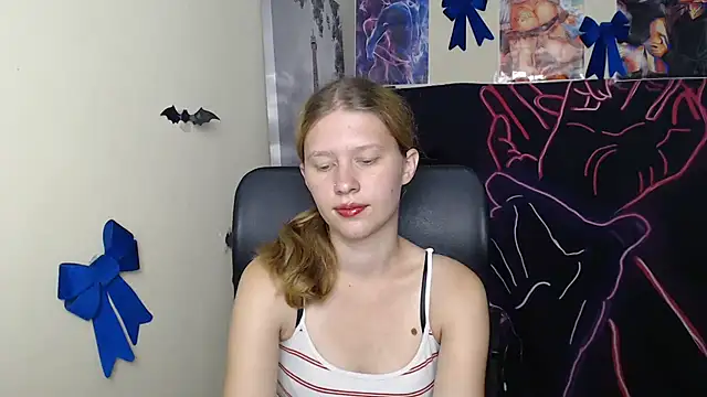 StellaCRL webcam