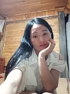 Td3di webcam