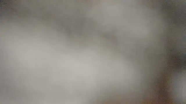 Shaddycute_ webcam