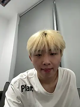 Cnmp6666 webcam