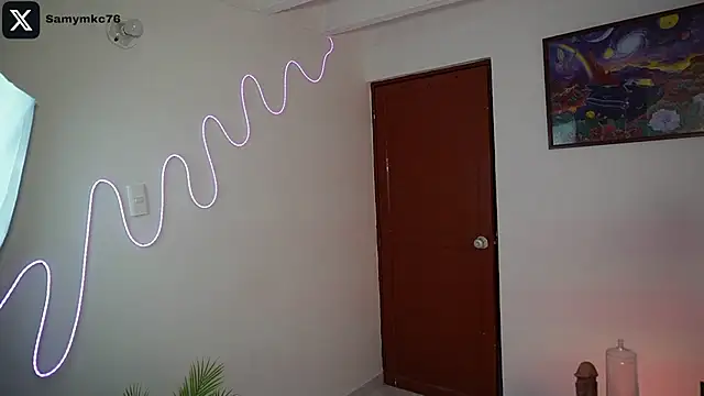 samymelo webcam