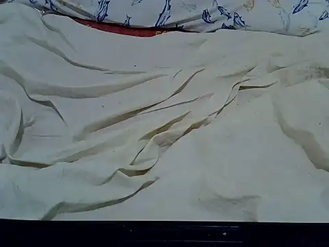 cutiebreey webcam