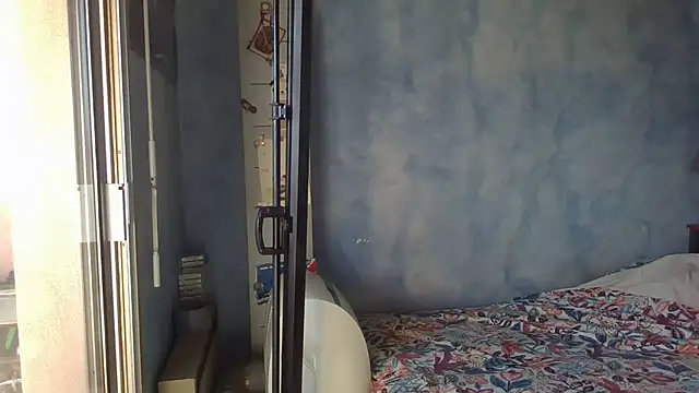 panda_06200 webcam
