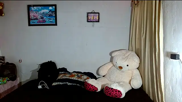 cristtal_2 webcam