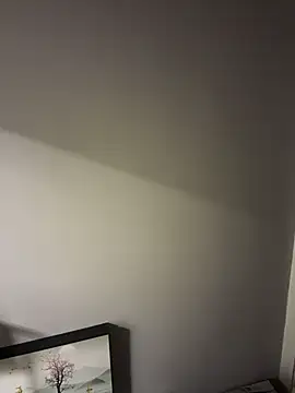 weiwei103