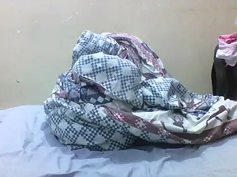 Offchart webcam
