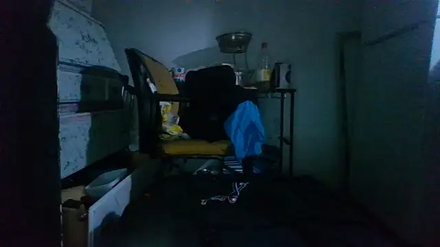 BIG-CkD_F webcam