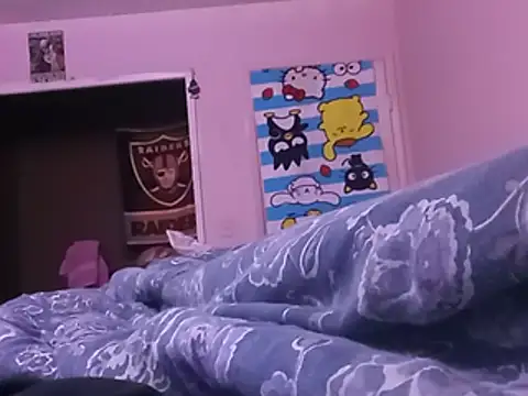 Blkstylion webcam