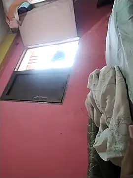 Verdachi webcam