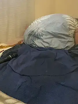 BigS234 webcam
