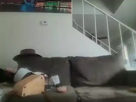 yourMasterisBored webcam