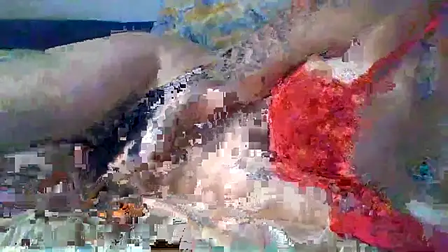 Reinemanon webcam