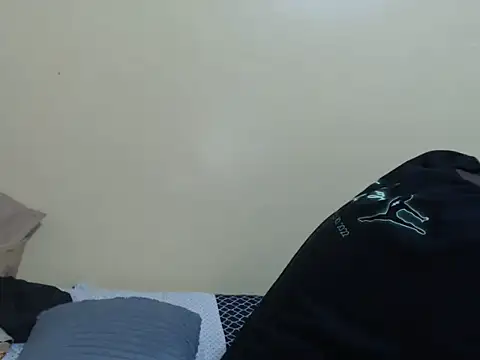 lynnsee webcam