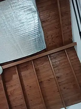 SilvaBranko webcam