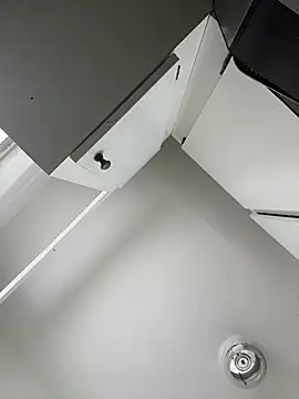 islandvybee55
