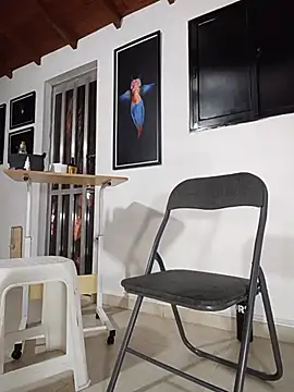 SilvaBranko webcam