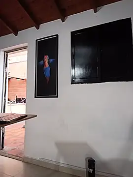 SilvaBranko webcam