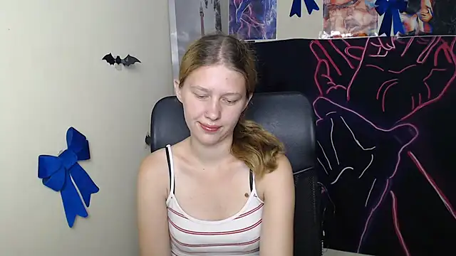 StellaCRL webcam