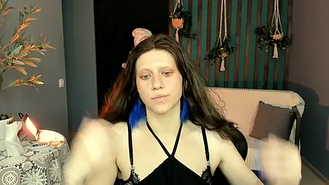 LidaDarknet webcam
