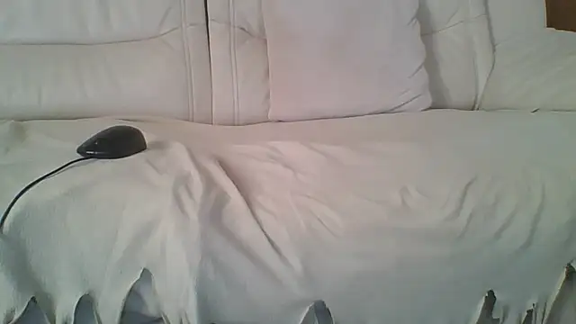 filler166 webcam