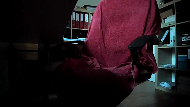 leccaleccafiga webcam