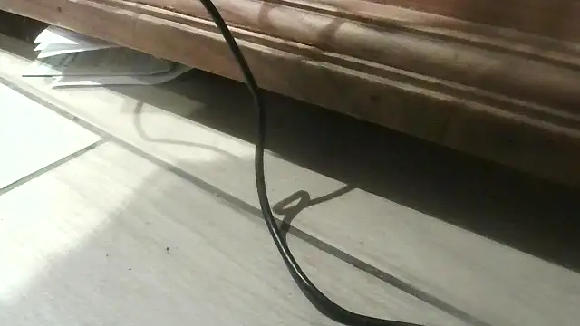 holedestruction webcam