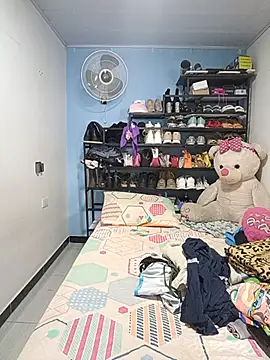 Tumilf webcam