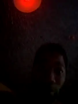 stripe2111111 webcam