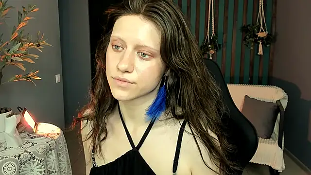LidaDarknet webcam