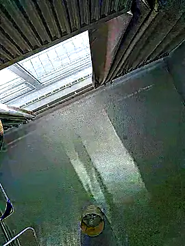 Semilobon1 webcam