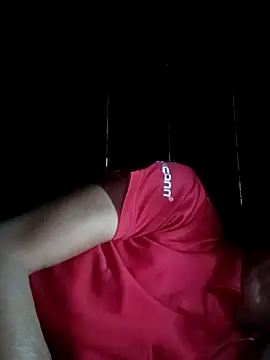 BaoHan22 webcam