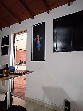 SilvaBranko webcam