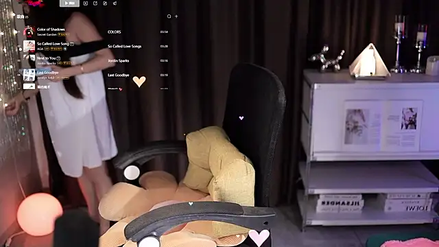 SleepArtist webcam