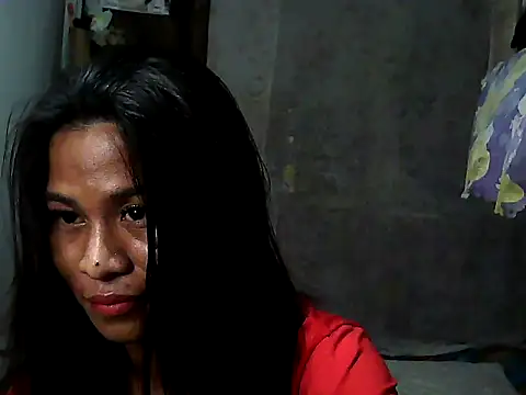 simplytrans webcam