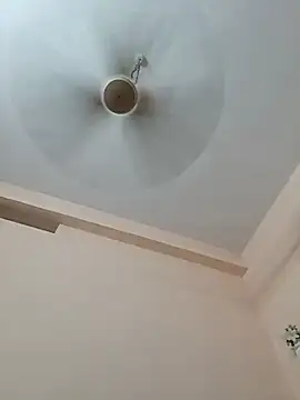 Hansikatelugu webcam