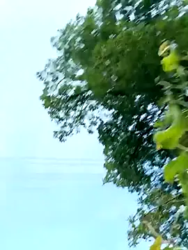 bigcock_marusz webcam