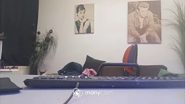 der_dino30 webcam