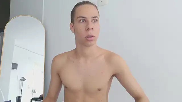 grey___27 webcam