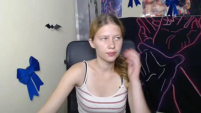 StellaCRL webcam