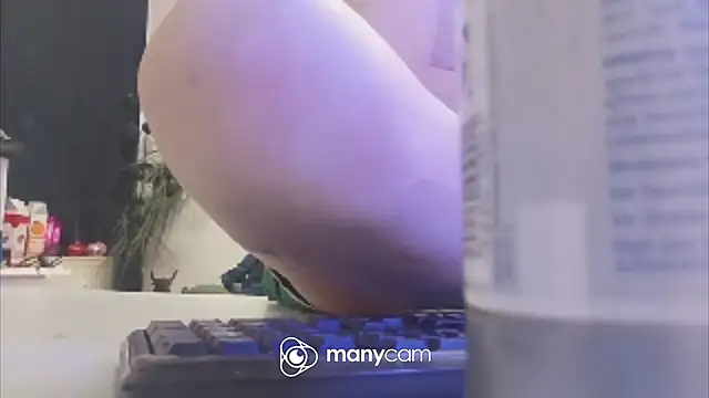 der_dino30 webcam