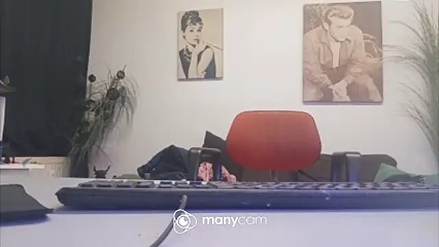 der_dino30