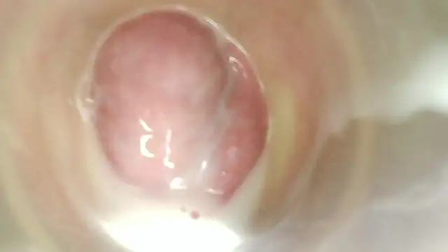 karol_stom