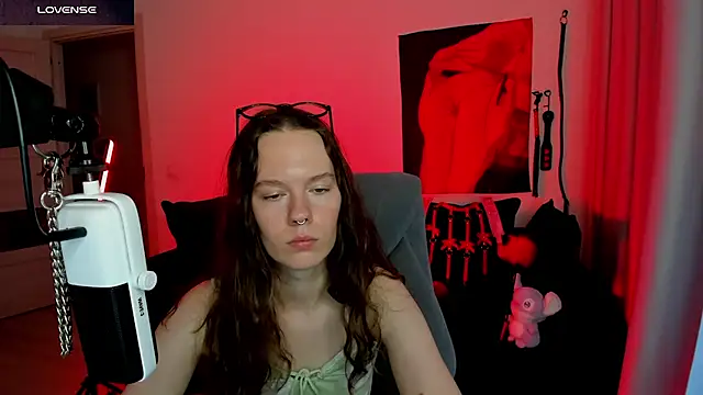 Vulgar_Tamer