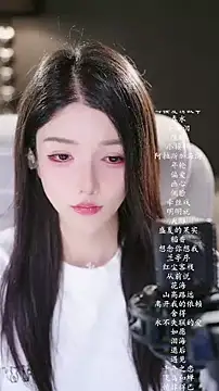 vv-77 webcam