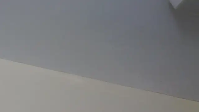 LeiaHuk webcam