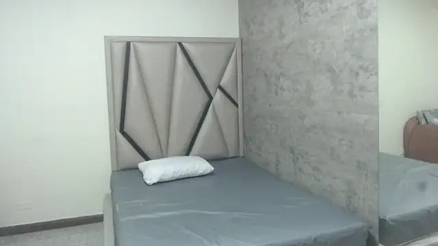 Abbyy_23 webcam