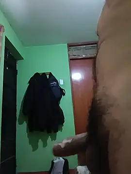 L915 webcam