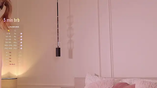 Rinas_secret webcam